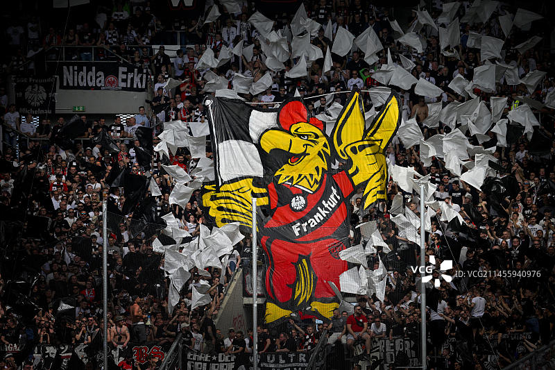 与法兰克福雄鹰吉祥物阿提拉的舞蹈编排，PreZero竞技场，德国巴登-符腾堡州辛斯海姆图片素材