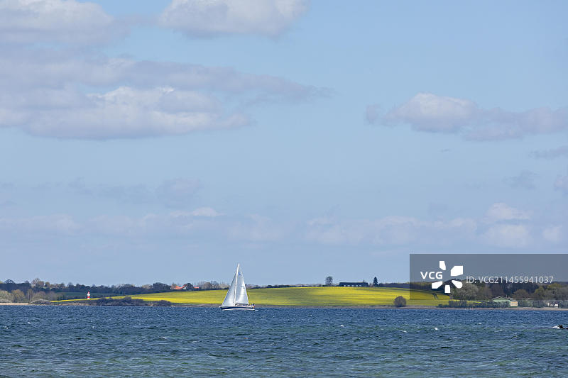 丹麦布罗阿格附近油菜田前的帆船，波罗的海，欧洲图片素材