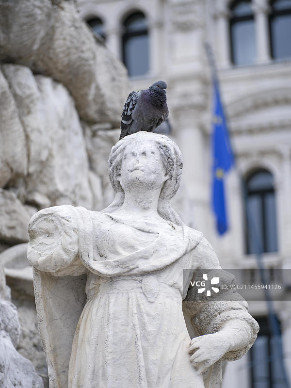 在意大利的里雅斯特，弗留利-威尼斯-朱利亚，意大利，意大利的统一广场，喷泉上的一个人头上的鸽子图片素材