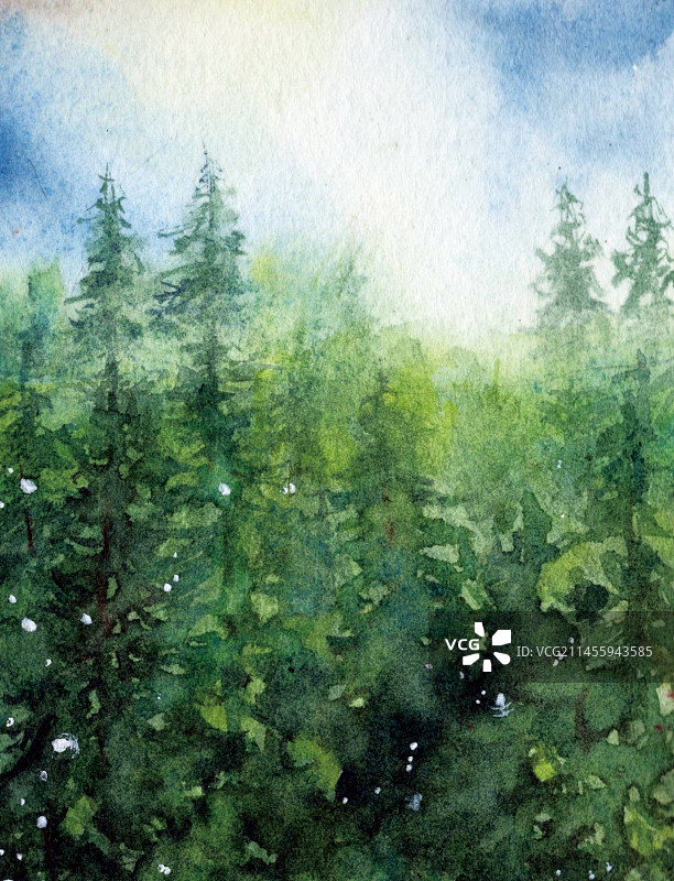 水彩手绘蓝色天空森林树木仰天俯视图片素材