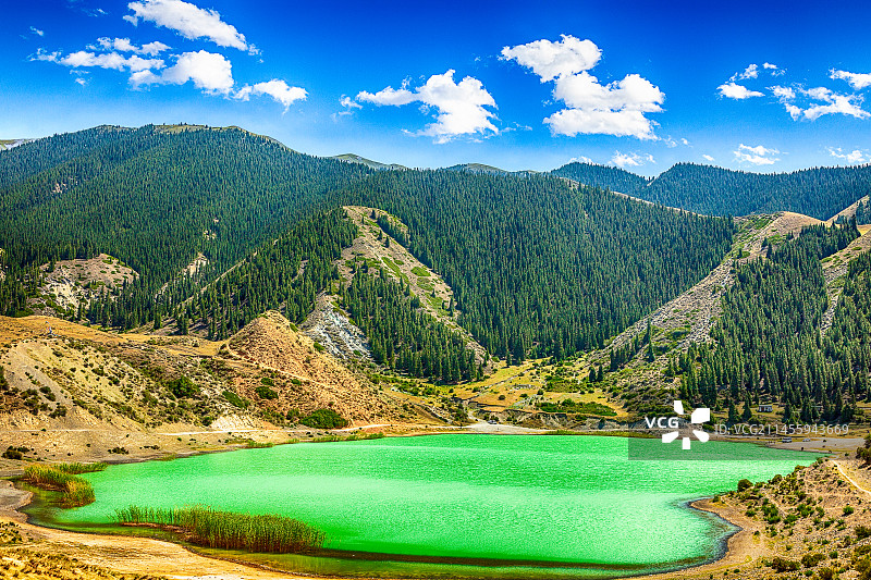 新疆精河县小海子风光图片素材