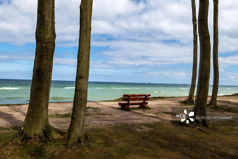 长椅观波罗的海幽灵森林景色，德国梅克伦堡-西波美拉尼亚罗斯托克区图片素材