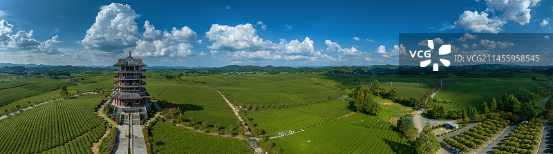 遵义湄潭县规模巨大的茶海景区图片素材