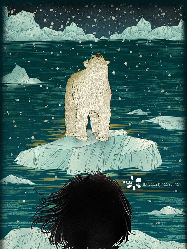 北极熊图片素材