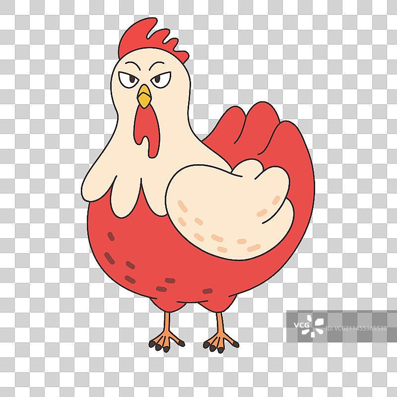 公鸡图片素材