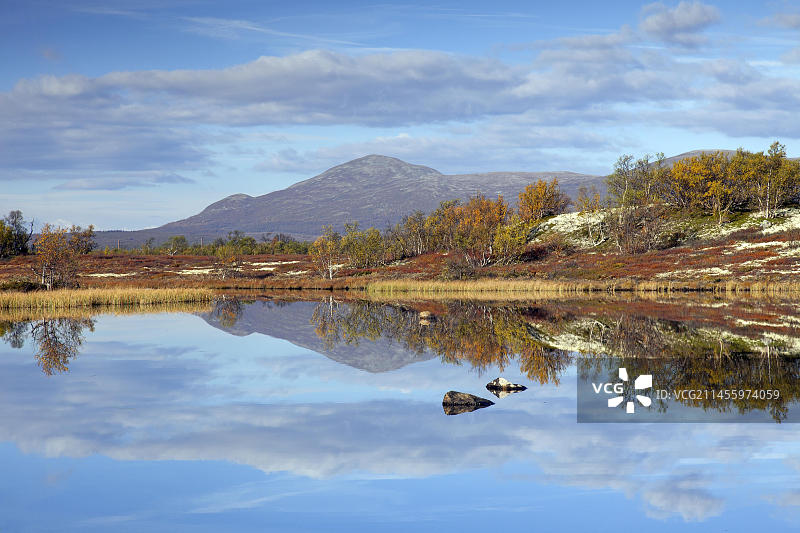 挪威奥普达尔多夫勒山Fokstumyra自然保护区沼泽地的湖泊，秋季景色图片素材