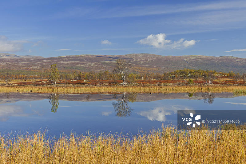 挪威奥普达尔多夫勒山Fokstumyra自然保护区沼泽地的湖泊，秋季景色图片素材