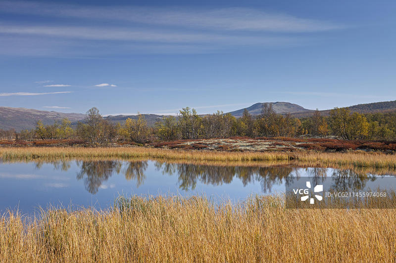 挪威奥普达尔多夫勒山Fokstumyra自然保护区沼泽地的湖泊，秋季景色图片素材