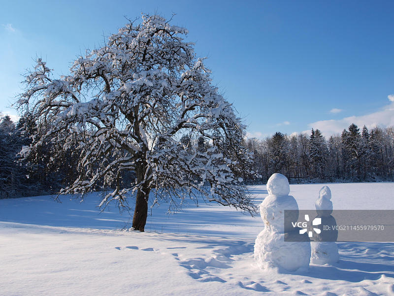 雪人冬季风景图片素材