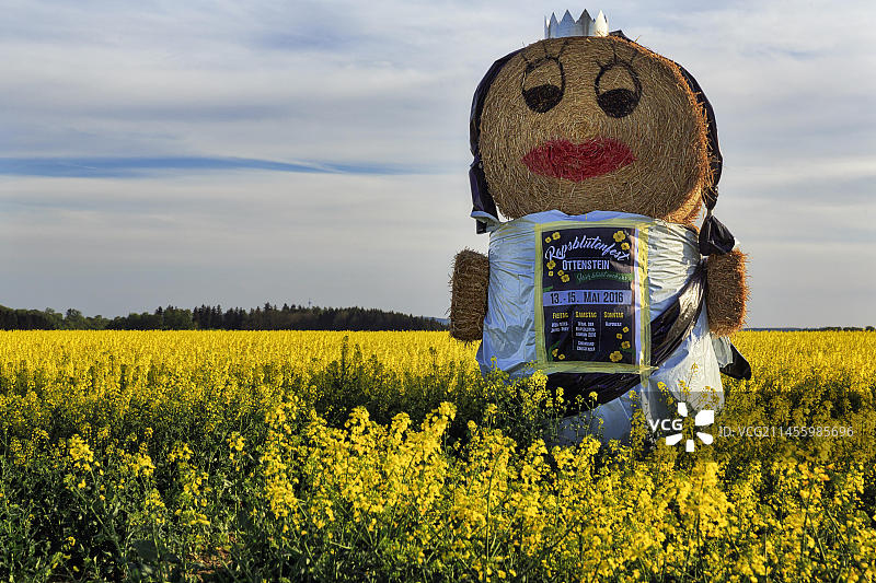 油菜田里的稻草人，用草捆扎成的女王形象，油菜花女王，油菜花节，位于德国下萨克森图片素材