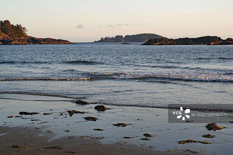 日落时分荒凉的沙滩，森林，假期，位于加拿大不列颠哥伦比亚省温哥华岛托菲诺的麦肯齐海滩图片素材