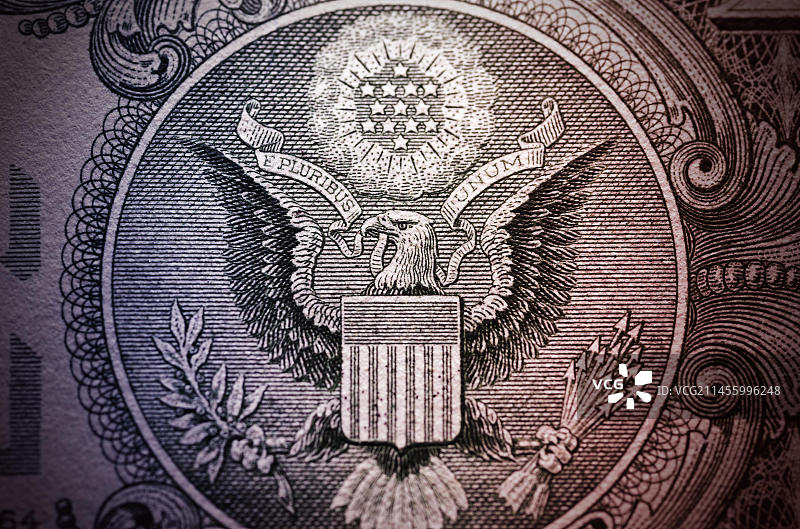美元钞票背面细节图片素材