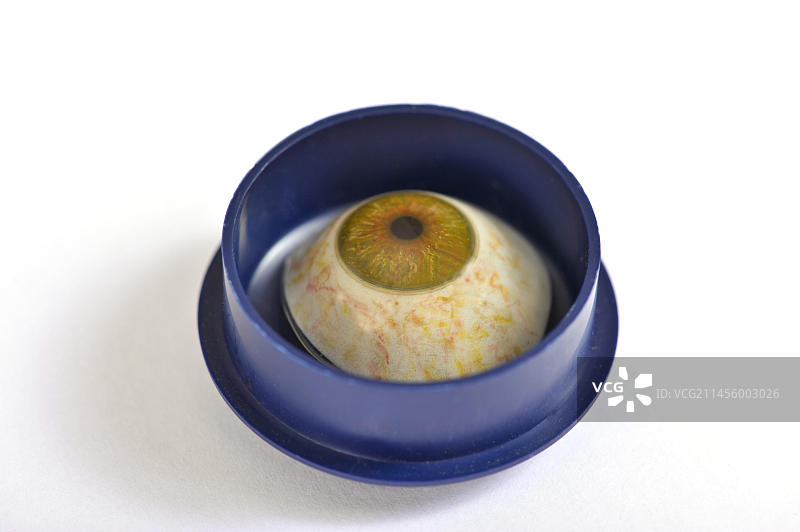 塑料盒中的玻璃眼球图片素材