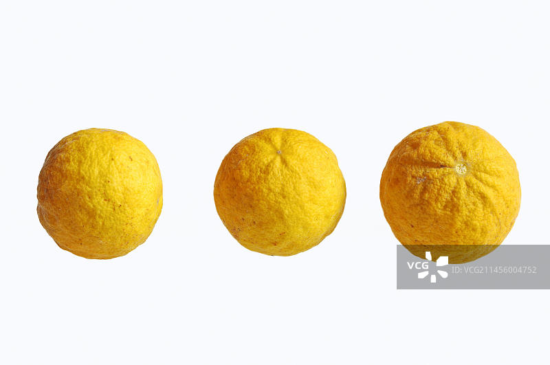 枳壳橙果实图片素材