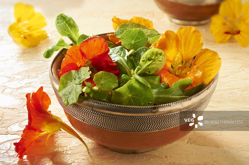含新鲜旱金莲花叶的沙拉图片素材