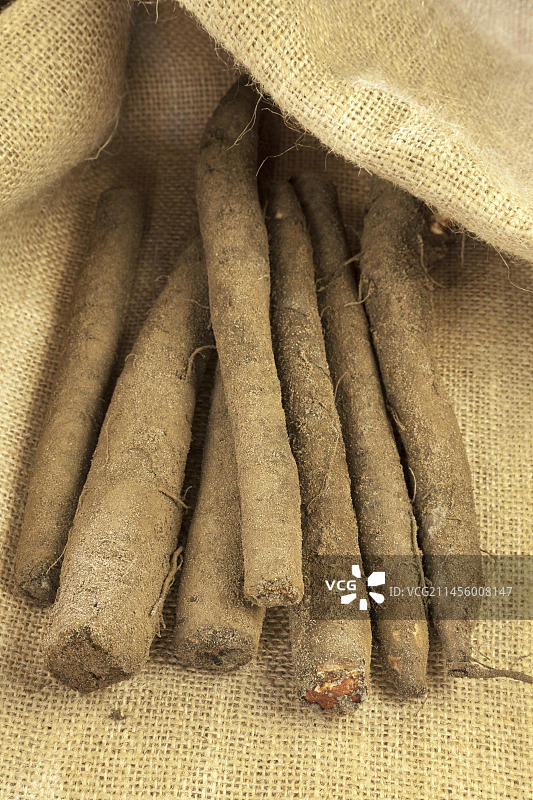 婆罗门参图片素材