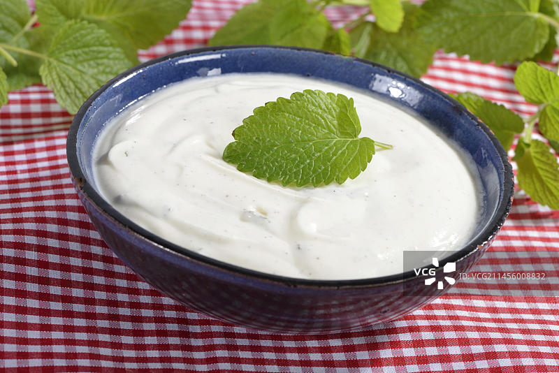 柠檬香脂凝乳奶油（Melissa officinalis）图片素材