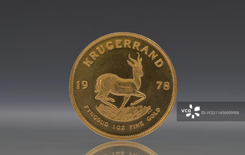 南非克鲁格金币图片素材
