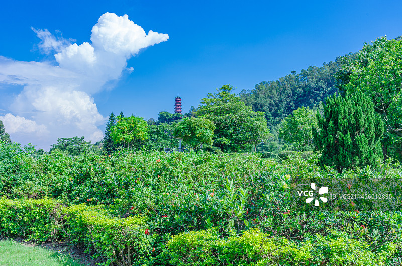 广州南沙蒲洲花园公园草坪绿树与天后宫古塔图片素材