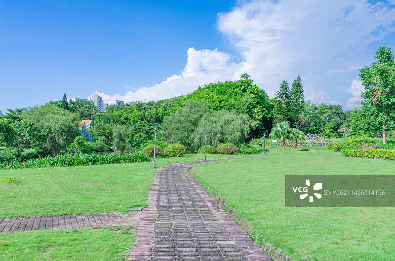 广州南沙蒲洲花园城市公园草坪树林景观图片素材