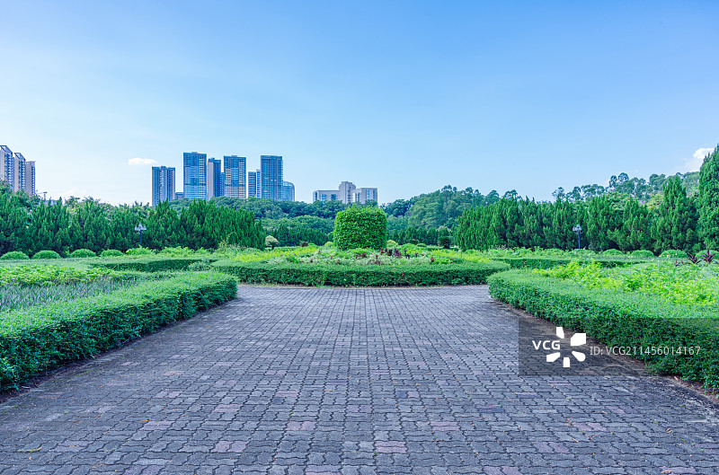 广州南沙蒲洲花园城市公园草坪树林景观图片素材