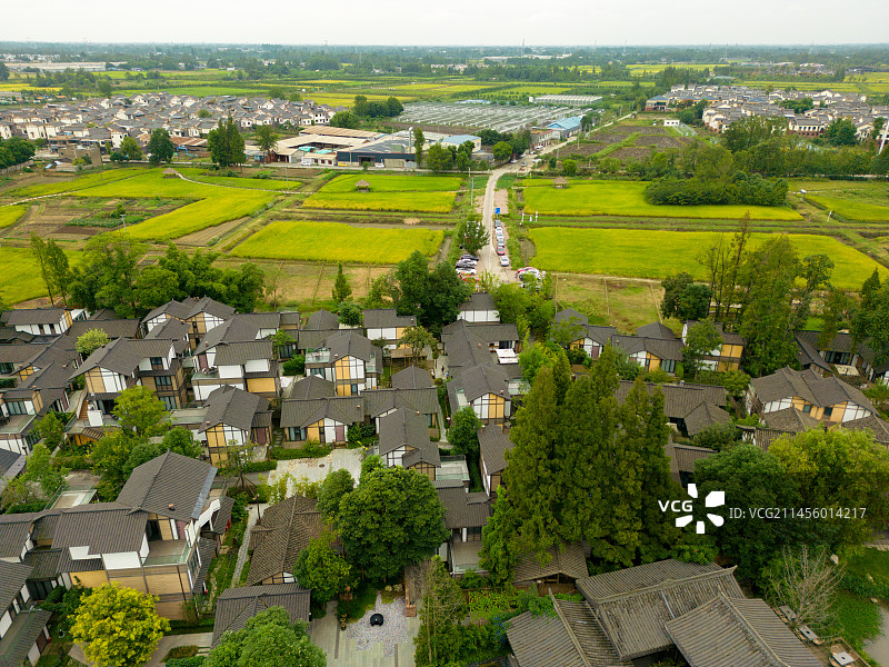 成都大邑稻香渔歌林盘图片素材