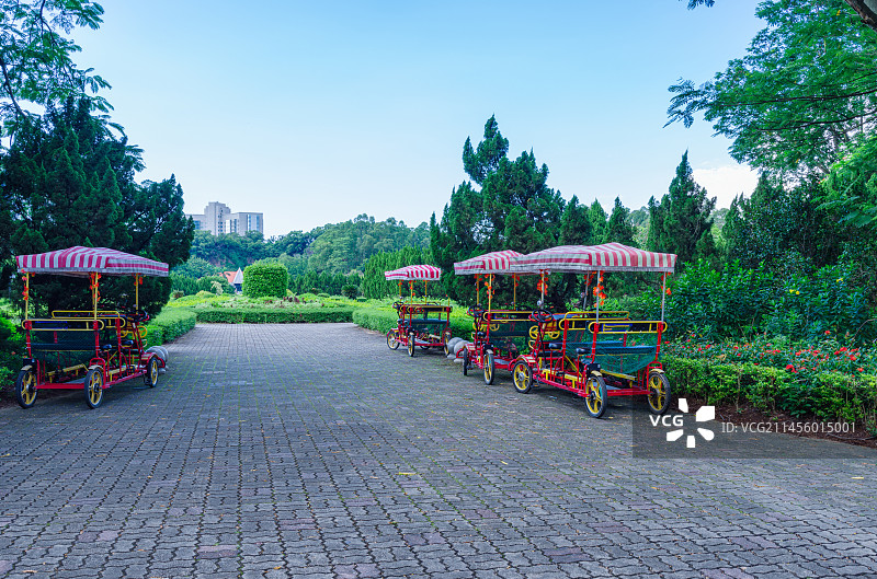 广州南沙蒲洲花园园林景观旅游车图片素材