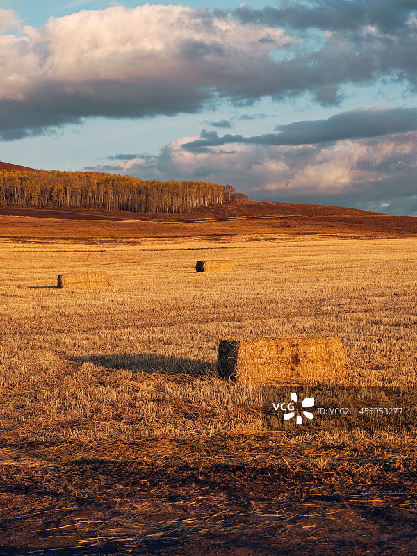 内蒙古呼伦贝尔草原上的夕阳草垛图片素材