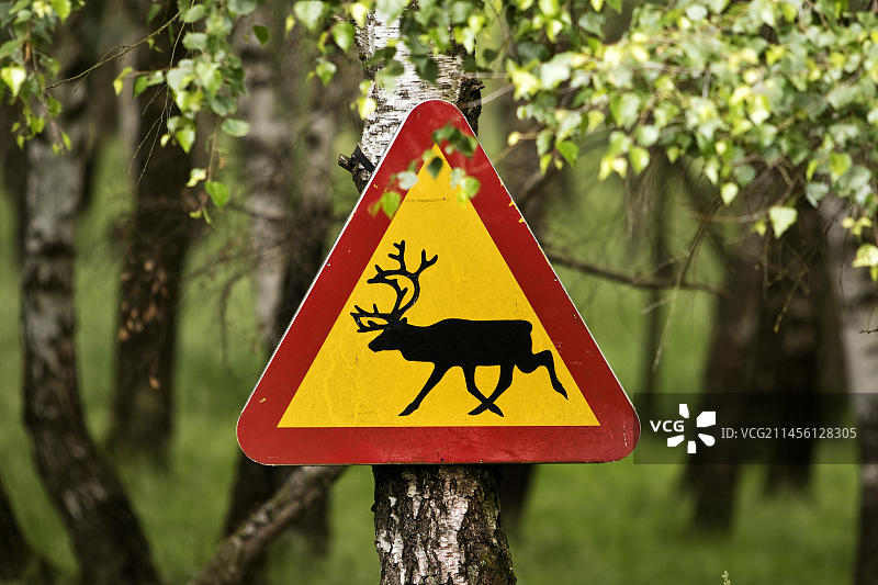 德国黑森州萨巴堡动物园的麋鹿警告标志图片素材