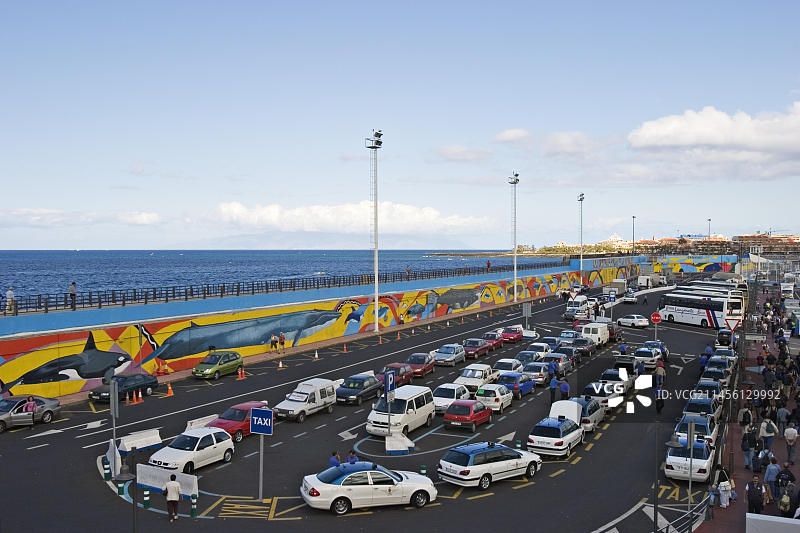 鲸鱼和海豚在克里斯蒂亚诺斯-特内里费岛上的壁画图片素材