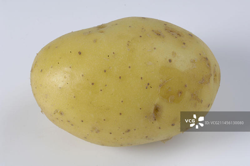 马铃薯(龙葵)“Ditta图片素材