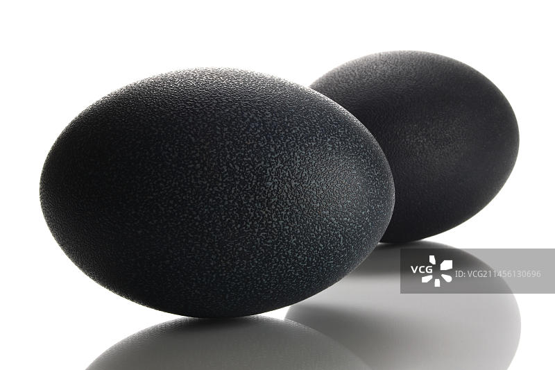 鸵鸟蛋图片素材