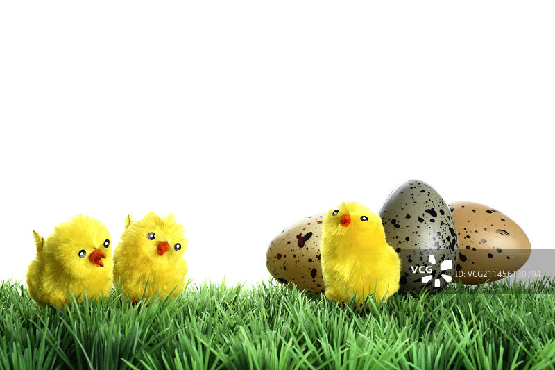 复活节彩蛋和小鸡图片素材