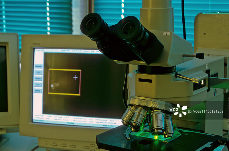 实验室荧光显微镜科学实验分析图片素材