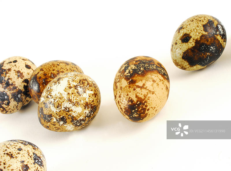 鹌鹑蛋图片素材
