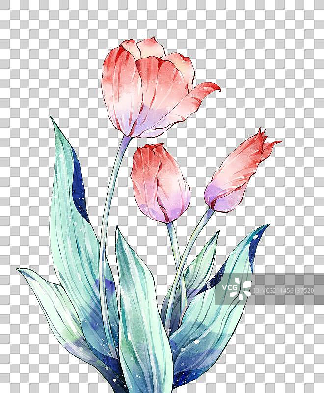 红色小清新郁金香图片素材