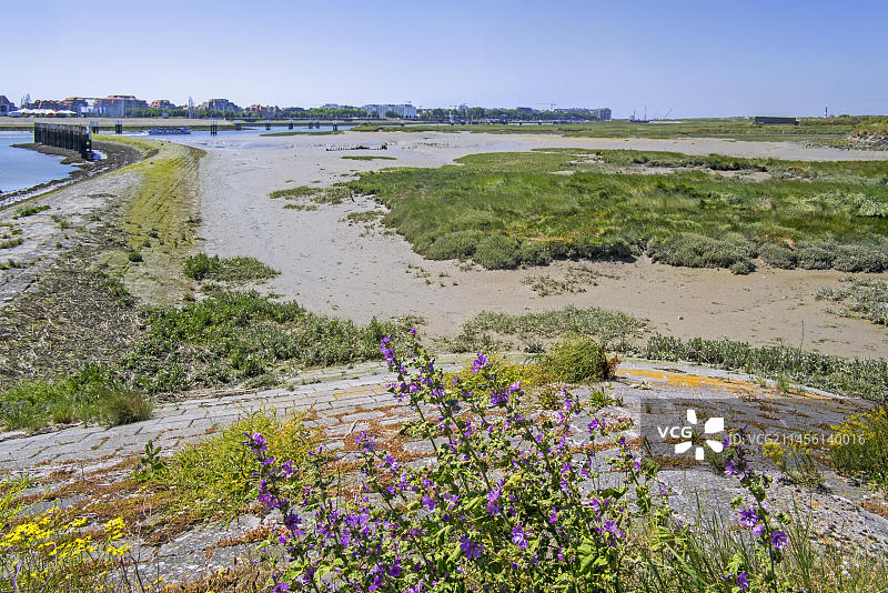 比利时西弗兰德斯省尼乌波特，IJzermonding自然保护区的泥滩景观图片素材