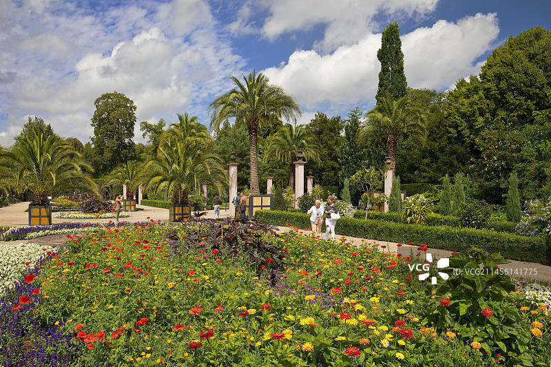 棕榈园：阿尔卑斯山以北最大的户外棕榈种植园，位于德国下萨克森州韦瑟山地的巴特皮尔蒙特温泉公园图片素材