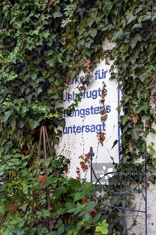 德国巴伐利亚州：常春藤和黑莓环绕的“禁止擅自停车”标志图片素材
