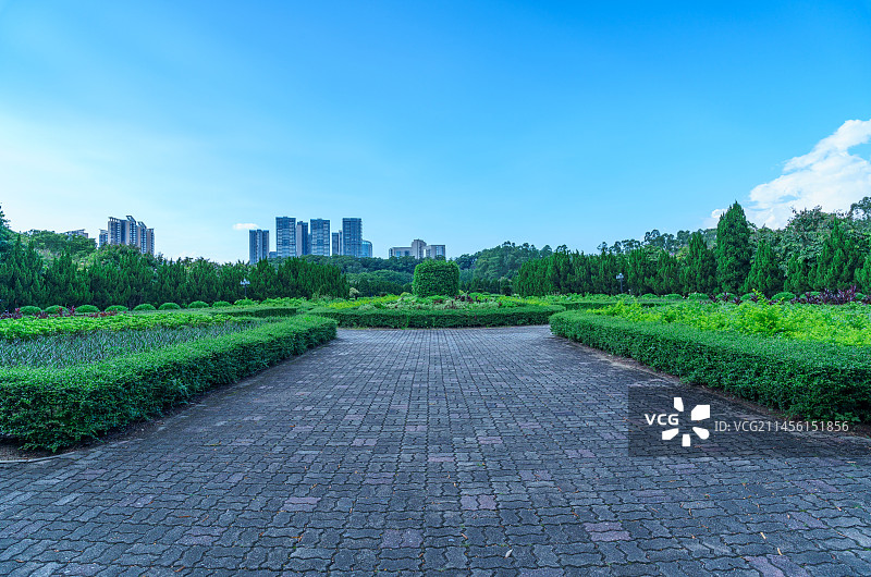 广州南沙蒲洲花园城市公园绿色树林园林景观图片素材