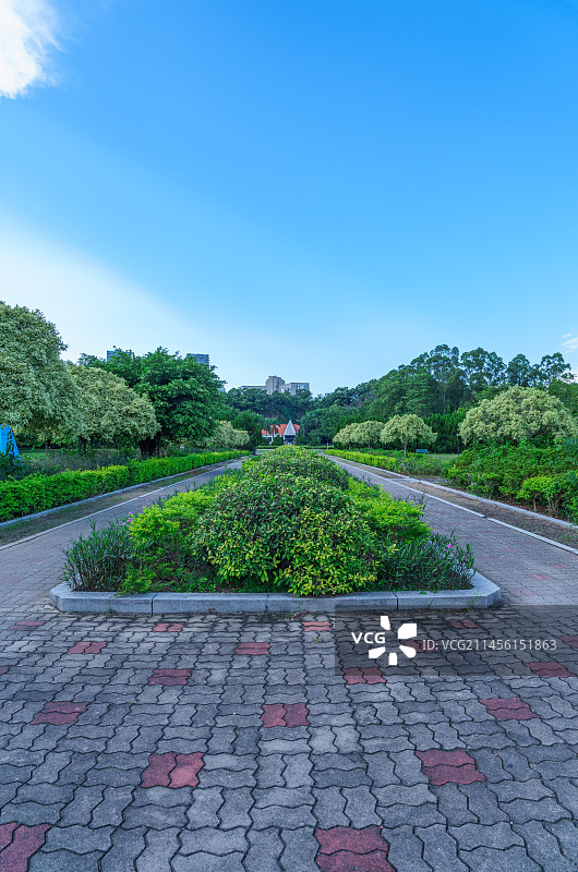 广州南沙蒲洲花园城市公园绿色树林园林景观图片素材