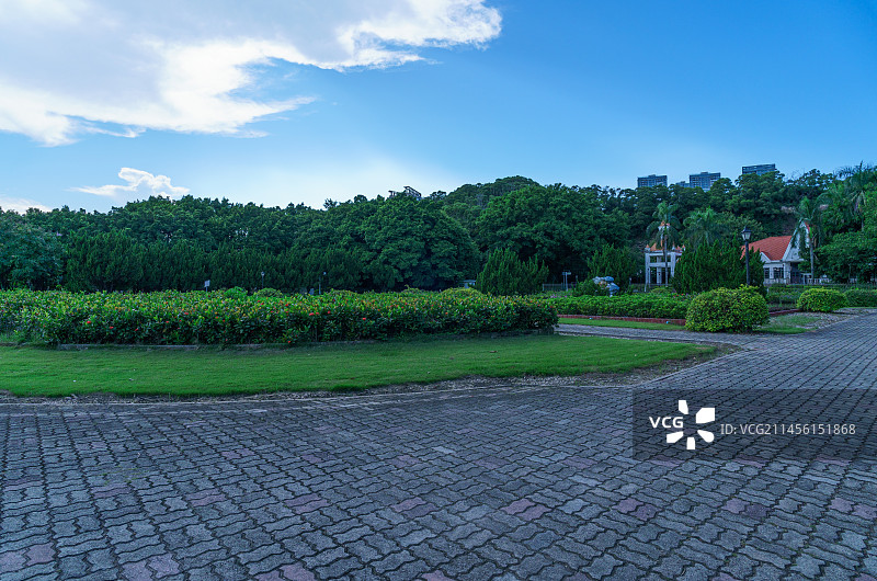 广州南沙蒲洲花园城市公园绿色树林园林景观图片素材