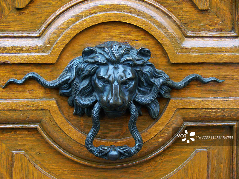 发黑黄铜狮头双蛇门环，橡木门图片素材
