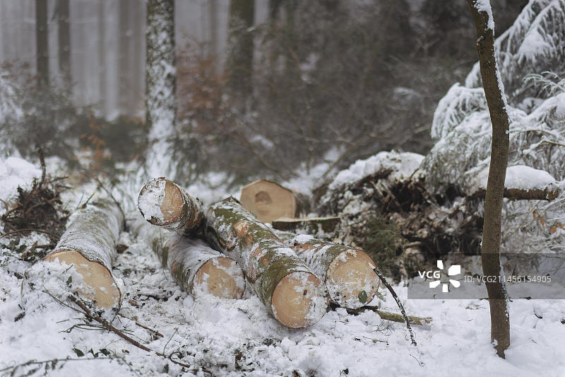 厄尔士山脉的冬季图片素材