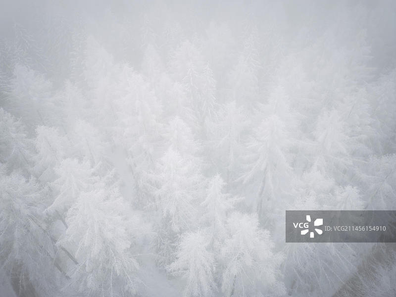 厄尔士山脉的冬季图片素材