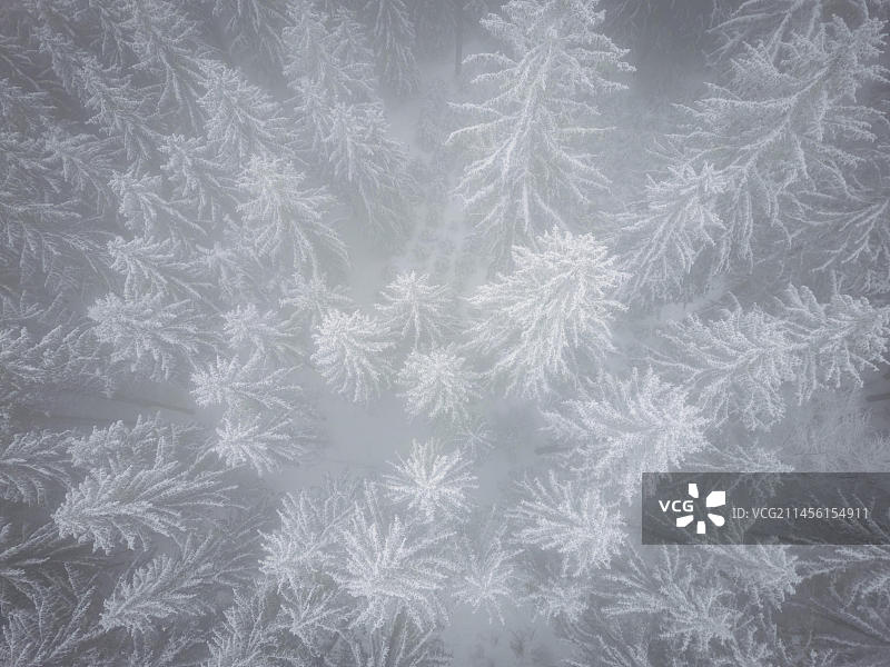 厄尔士山脉的冬季图片素材