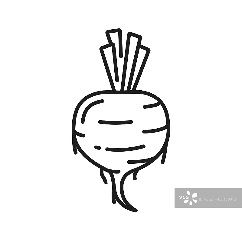 甜菜根线性图标图片素材