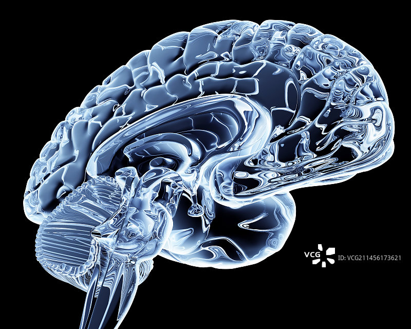 大脑计算机艺术作品图片素材