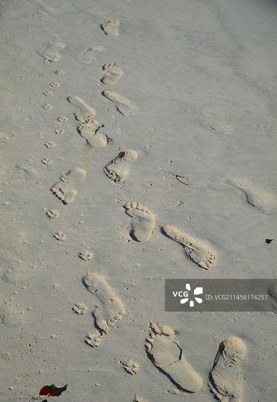 沙滩上的脚印图片素材