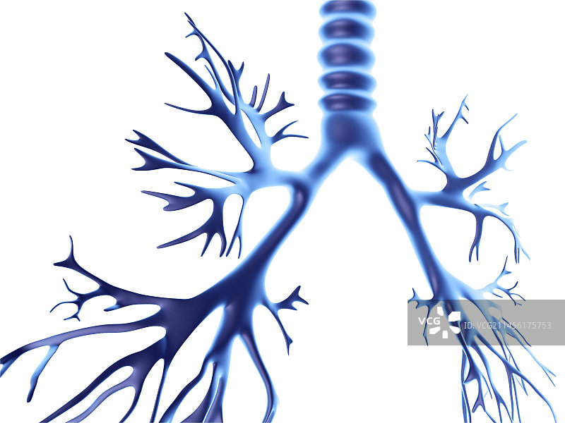 支气管树电脑绘图图片素材